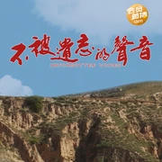 点击查看图片 不被遗忘的声音