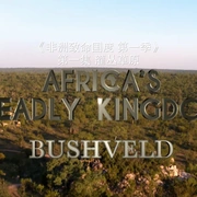 点击查看图片 非洲致命国度 Africa's Deadly Kingdom