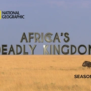 点击查看图片 非洲致命国度 Africa's Deadly Kingdom