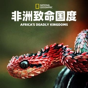 点击查看图片 非洲致命国度 Africa's Deadly Kingdom