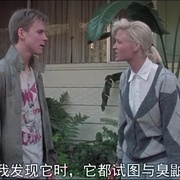 点击查看图片 死亡电视 The Video Dead