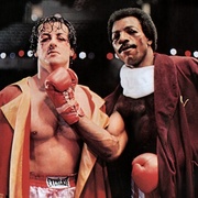 点击查看图片 洛奇 Rocky