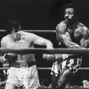 点击查看图片 洛奇 Rocky