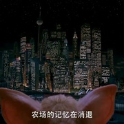 点击查看图片 小猪宝贝2:小猪进城 Babe: Pig in the City