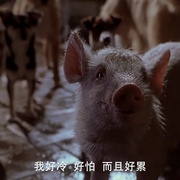 点击查看图片 小猪宝贝2:小猪进城 Babe: Pig in the City
