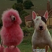 点击查看图片 小猪宝贝2:小猪进城 Babe: Pig in the City