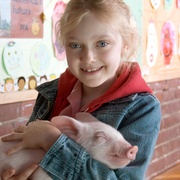点击查看图片 夏洛特的网 Charlotte's Web