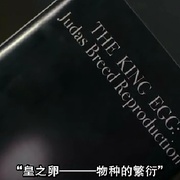 变种DNA 3：哨兵 Mimic: Sentinel