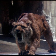 辛巴达穿破猛虎眼 Sinbad and the Eye of the Tiger