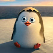 马达加斯加的企鹅 Penguins of Madagascar