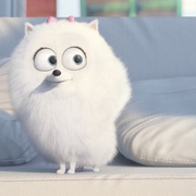点击查看图片 爱宠大机密 The Secret Life of Pets