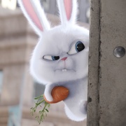 点击查看图片 爱宠大机密 The Secret Life of Pets