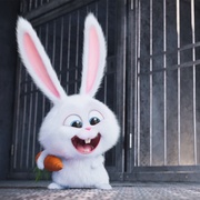 点击查看图片 爱宠大机密 The Secret Life of Pets