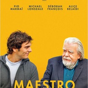 点击查看图片 大师 Maestro