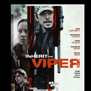 点击查看图片 继任蝰蛇 Inherit the Viper