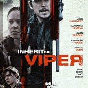 点击查看图片 继任蝰蛇 Inherit the Viper