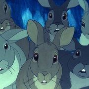 点击查看图片 沃特希普高地 Watership Down