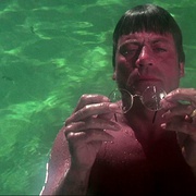 庭院深深 Burnt Offerings