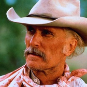 孤鸽镇 Lonesome Dove