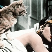 蒂凡尼的早餐 Breakfast at Tiffany's