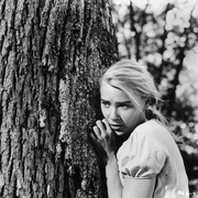 冷暖人间 Peyton Place