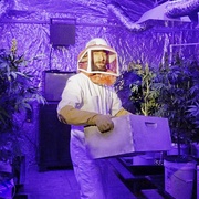 点击查看图片 迷幻高中 High School