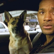 我是传奇 I Am Legend