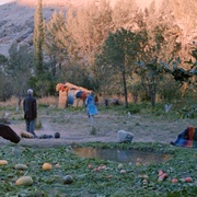 魔毯 گبه‎