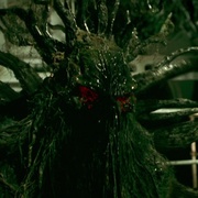 点击查看图片 类人体 Man-Thing