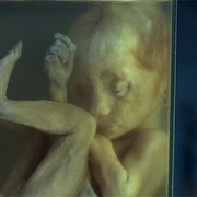 点击查看图片 活鬼胎 เฮี้ยน The Mother