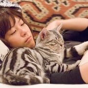 点击查看图片 咕咕是一只猫 グーグーだって猫である