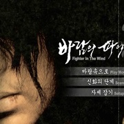 风斗士 바람의 파이터