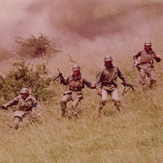 十二金刚 The Dirty Dozen