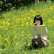 原野四十九日 野のなななのか