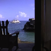 点击查看图片 深海巨灵大海龟 The Bermuda Depths
