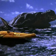 点击查看图片 深海巨灵大海龟 The Bermuda Depths