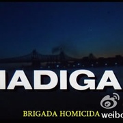 铁血双探 Madigan