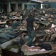点击查看图片 浩劫后 The Day After