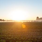 麦克法兰 McFarland, USA