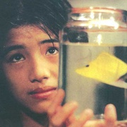 点击查看图片 热带鱼 熱帶魚