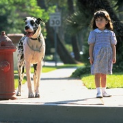 点击查看图片 玛蒂尔达 Matilda