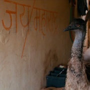 孟买之音 Bombay Talkies