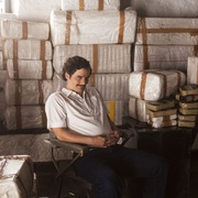 毒枭 第一季 Narcos Season 1