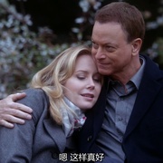 点击查看图片 犯罪现场调查:纽约 第九季 CSI: NY Season 9