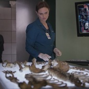 点击查看图片 识骨寻踪 第八季 Bones Season 8