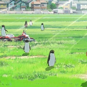 点击查看图片 企鹅公路 ペンギン・ハイウェイ