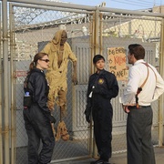 点击查看图片 识骨寻踪 第一季 Bones Season 1
