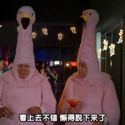 点击查看图片 波士顿法律 第一季 Boston Legal Season 1