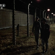 点击查看图片 无敌男儿 Triumph of the Spirit