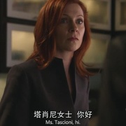 点击查看图片 傲骨贤妻 第一季 The Good Wife Season 1